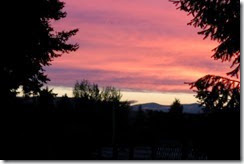 IMG_1103 IMG_1103