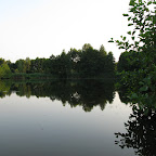 3772574461.jpg