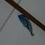 festa 2008144.JPG