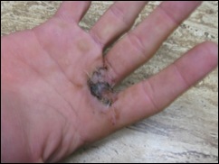 hand1 hand1