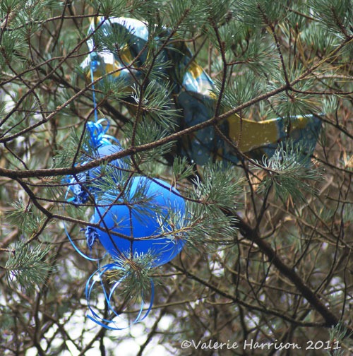 [3-balloon-in-tree%255B2%255D.jpg]