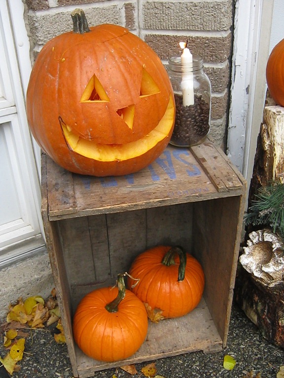 [IMG_3252%255B9%255D.jpg]