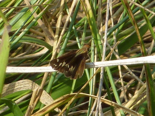 P1120254