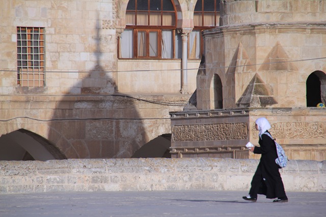 [IMG_20632.jpg]