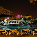 DSC_7203.JPG