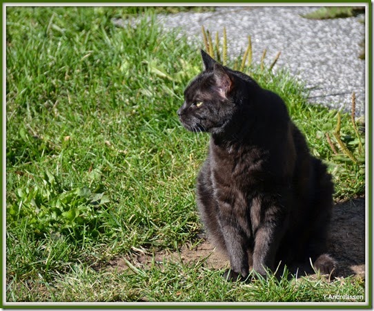 DSC_6145 DSC_6145