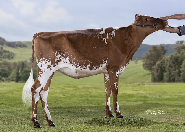 Eagle Park Angeline 3900.jpg