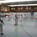 H25D2877.JPG