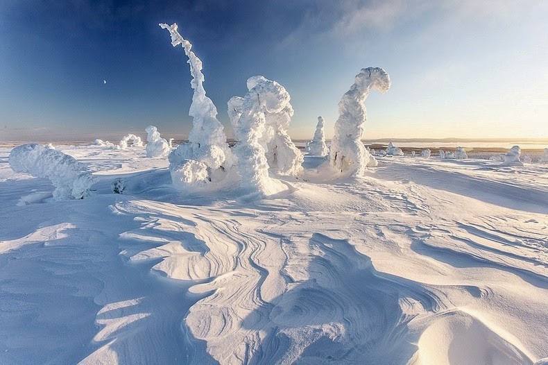 Mùa đông ở công viên Riisitunturi National, Phần Lan. Riisitunturi-tykky-6%25255B2%25255D