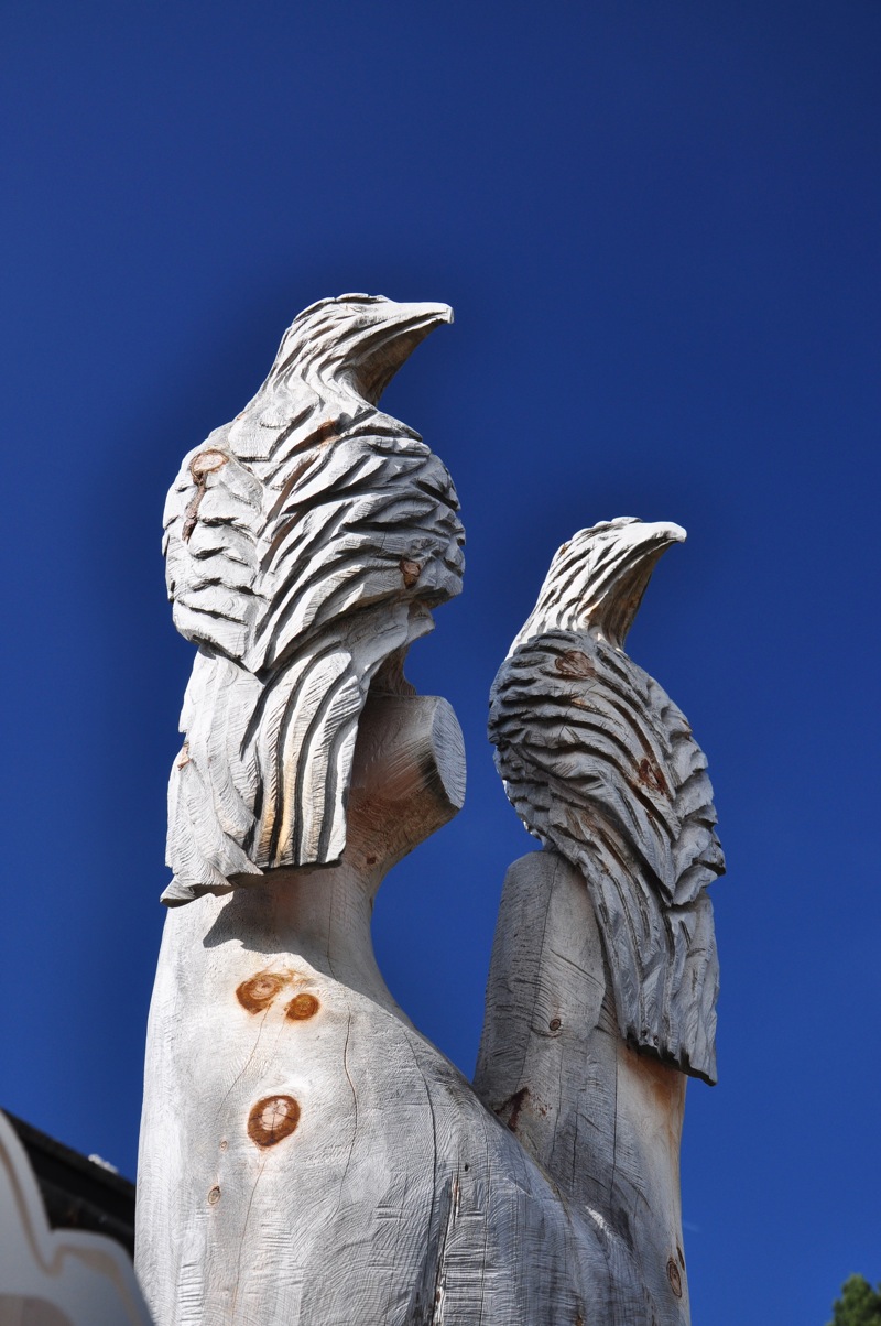 DSC_5355.jpg DSC 5355