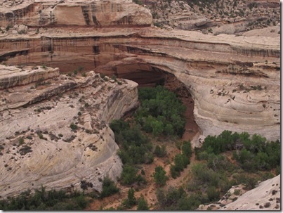 238 Kachina Bridge 238 Kachina Bridge
