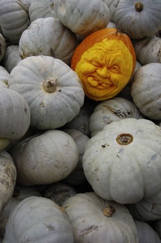 [awesome%2520pumpkin%2520carving%252020%255B2%255D.jpg]
