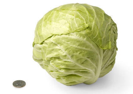 [30-green-cabbage%255B2%255D%255B4%255D.jpg]