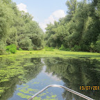IMG_3482.JPG
