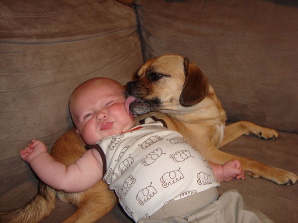 [dog3%255B5%255D.jpg]