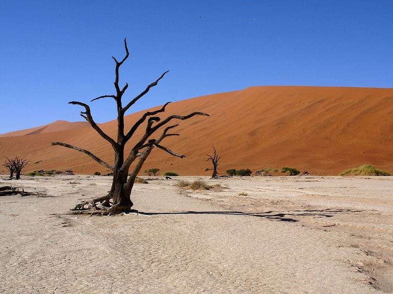 deadvlei-7