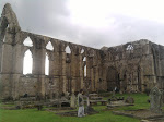 Cow n calf-bolton abbey