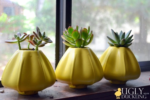 Succulents, flowerpots, and yellow spray paint - oh my!