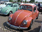 Beetles...