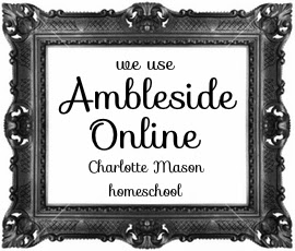 We use ambleside final