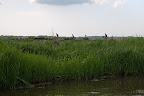 Teufelsmoor: Wasserwandern auf der Beek