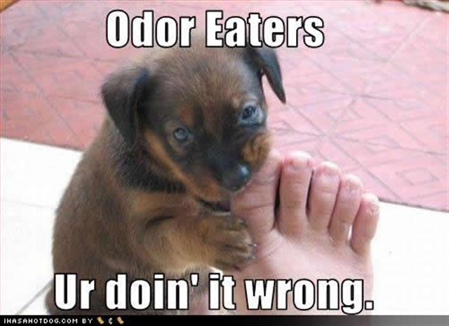 [dog-odor-eaters%2520%2528Small%2529%255B1%255D.png]