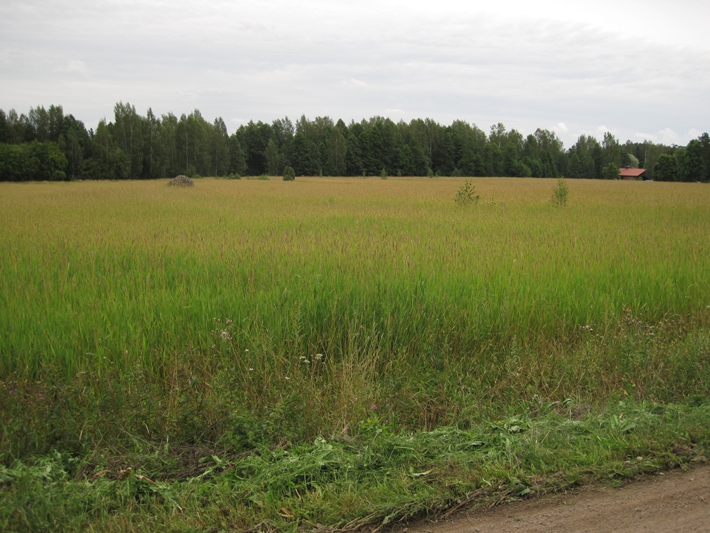 [lenkki%2520011%255B6%255D.jpg]