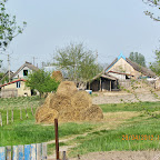 IMG_7510.JPG