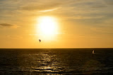 DSC_0647.JPG