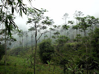 IMG_0891.JPG