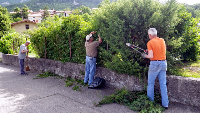 2014-05-Cistilna-akcija-Osek-06.JPG