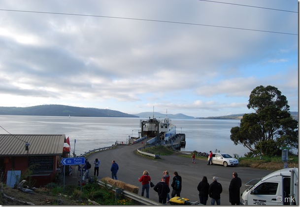 DSC_1411 DSC_1411