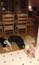 Otis, Andy, & Mickey D