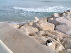Images of Sitges