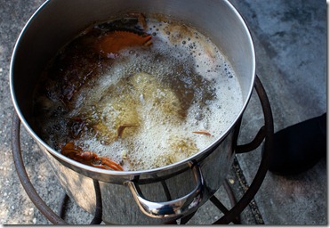 crawfish in pot