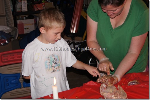 Homeschool Science - Disecting a Chicken Homeschool Science - Disecting a Chicken