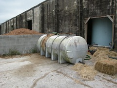 feed cows 019 feed cows 019