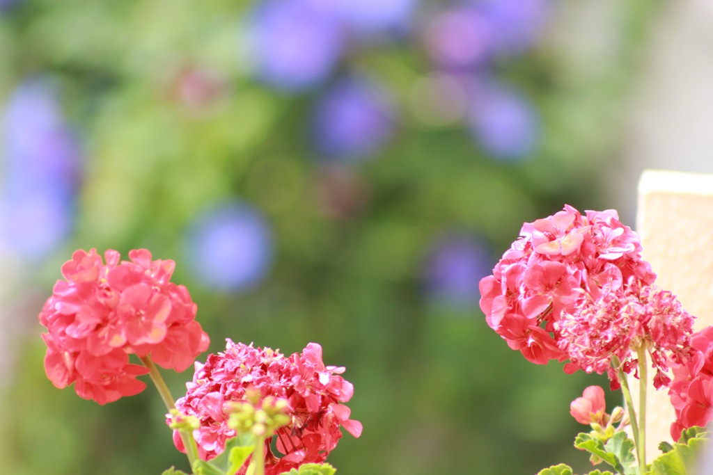 [IMG_0364%255B4%255D.jpg]