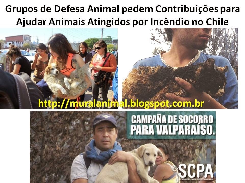 [Slide4%255B3%255D.jpg]