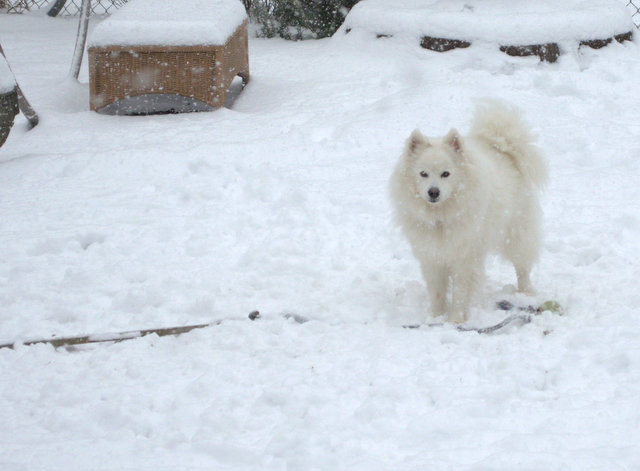 [17-DSC_0041%255B1%255D.png]