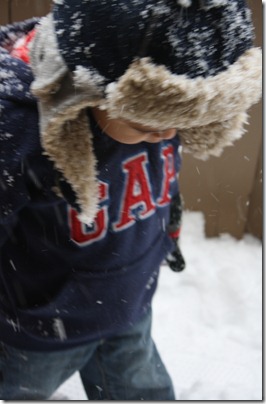 firstsnowwinter11 078