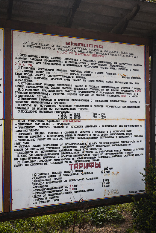 IMG_7975.jpg
