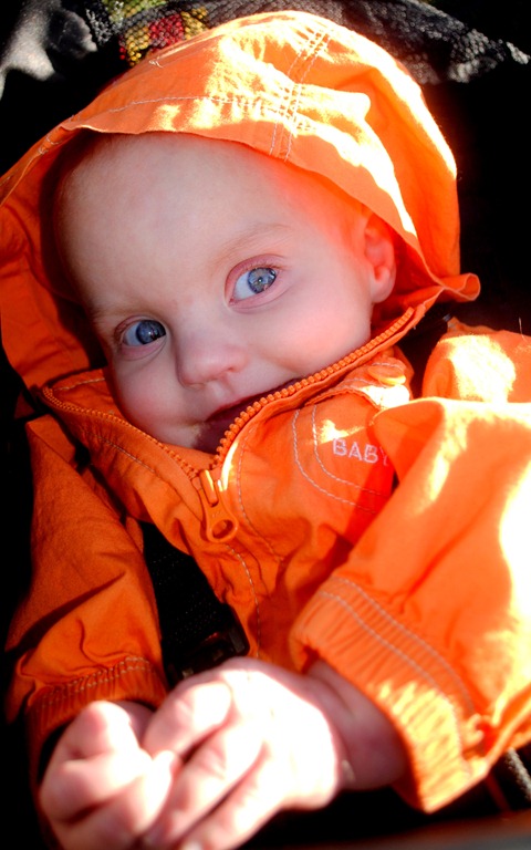 [DSC_0002%255B3%255D.jpg]