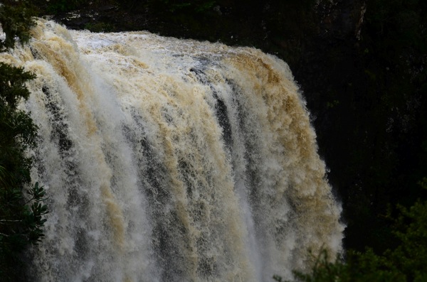 _DSC0368.JPG DSC0368