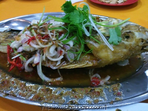 20110828768