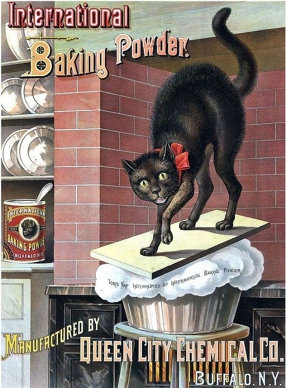 [Vintage-Cat-Advertisements-01%255B4%255D.jpg]