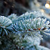 DSC_2196.JPG