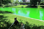 The East Hampton Town Pond