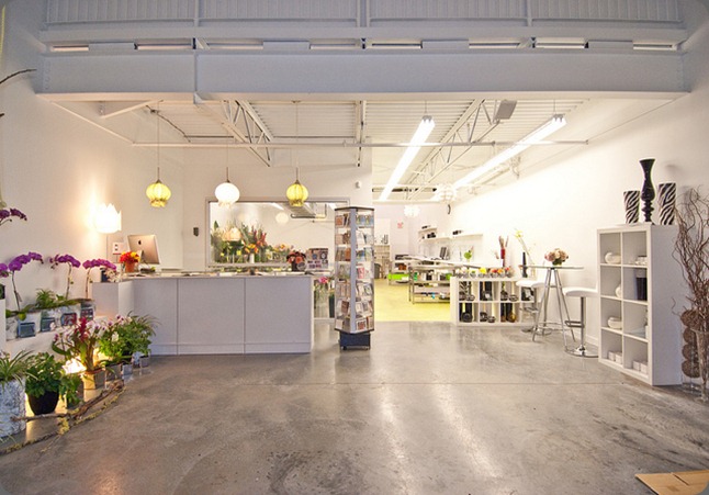 garden party 6178666613_8ab5d3debd_z garden party 6178666613_8ab5d3debd_z