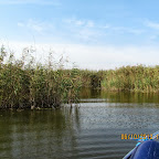 IMG_8027.JPG